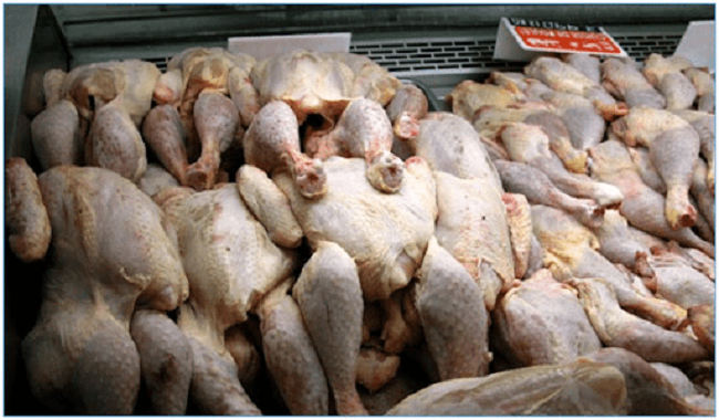 Décharges Dar-es-Salam: les poulets pourris sont recyclés pour être vendus pas cher, à l’approche de la fête