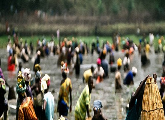 Siguiri : une fête traditionnelle vire à un affrontement sanglant…