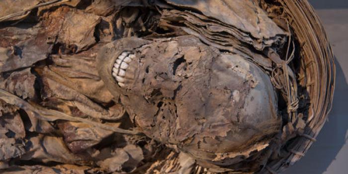Guinée : deux corps momifiés découverts dans la demeure d’un officier de la douane