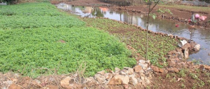 Quartier Démoudoula : la rivière éponyme se meurt à petit feu par des remblais !