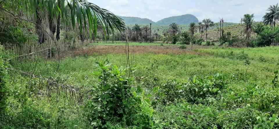 KHORIRA : un domaine “vendu” à une famille guinéo-libanaise au cœur d’un conflit avec la population locale