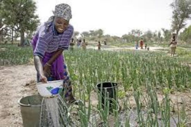 Afrique: la fête du Travail sans…travail!