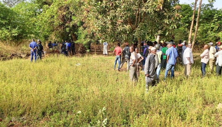 Mamou : deux décès en 48 heures, dus à des morsures de serpent