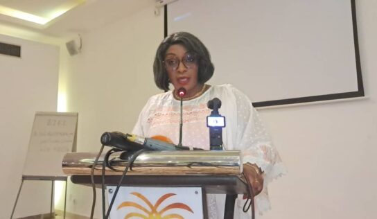 Présidentielle du 28/12 en Guinée : la DGE organise une session d’information pour observateurs