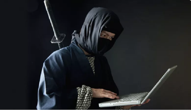 e master d’études sur les ninjas dispense des cours théoriques mais également pratiques. Crédits photo: Shutterstock