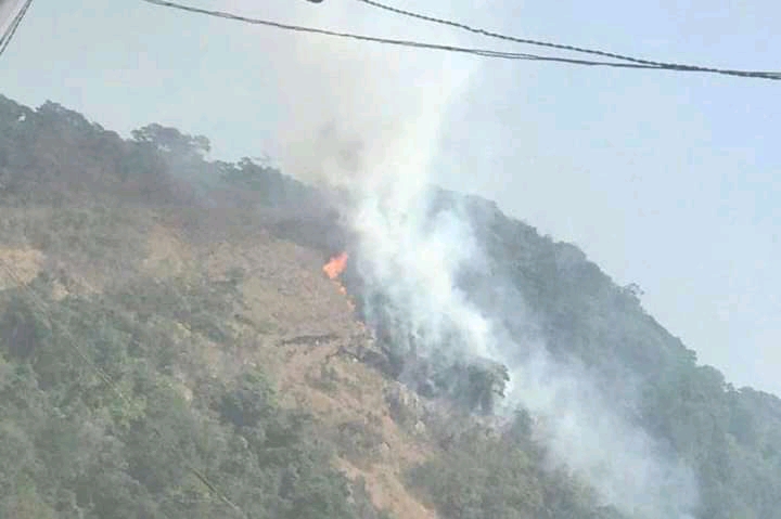 Incendie à la forêt de Ziama: l’Etat confirme la nouvelle et annonce qu’une mission est en route pour le lieu du drame