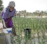 Afrique: la fête du Travail sans…travail!
