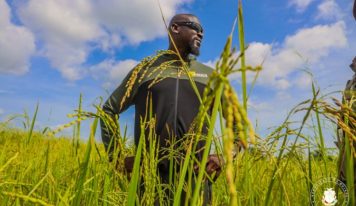 Agriculture : le budget est passé de 600 milliards à 1 900 milliards GNF