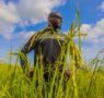 Agriculture : le budget est passé de 600 milliards à 1 900 milliards GNF