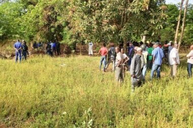 Mamou : deux décès en 48 heures, dus à des morsures de serpent