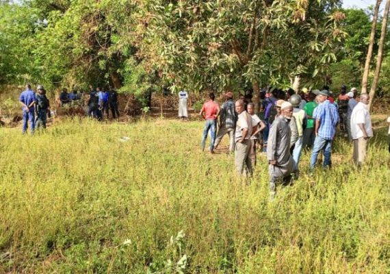 Mamou : deux décès en 48 heures, dus à des morsures de serpent
