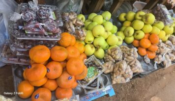 Agriculture/Guinée : quand le Fouta, champion du climat, achète ses fruits à l’étranger
