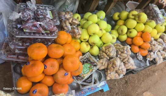 Agriculture/Guinée : quand le Fouta, champion du climat, achète ses fruits à l’étranger